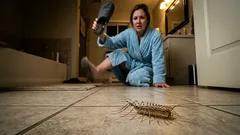 Viste isto na tua casa de banho? 30 patas e um benefício surpreendente de que ninguém fala