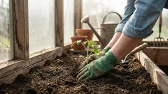 O que plantar em abril em solo aberto, na estufa e para mudas: uma lista que vale a pena guardar